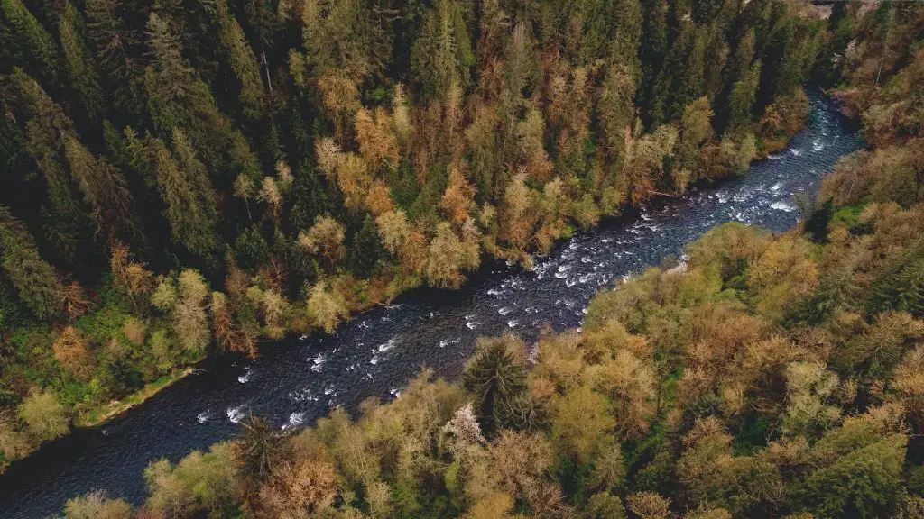 Does the amazon river flow through chile?