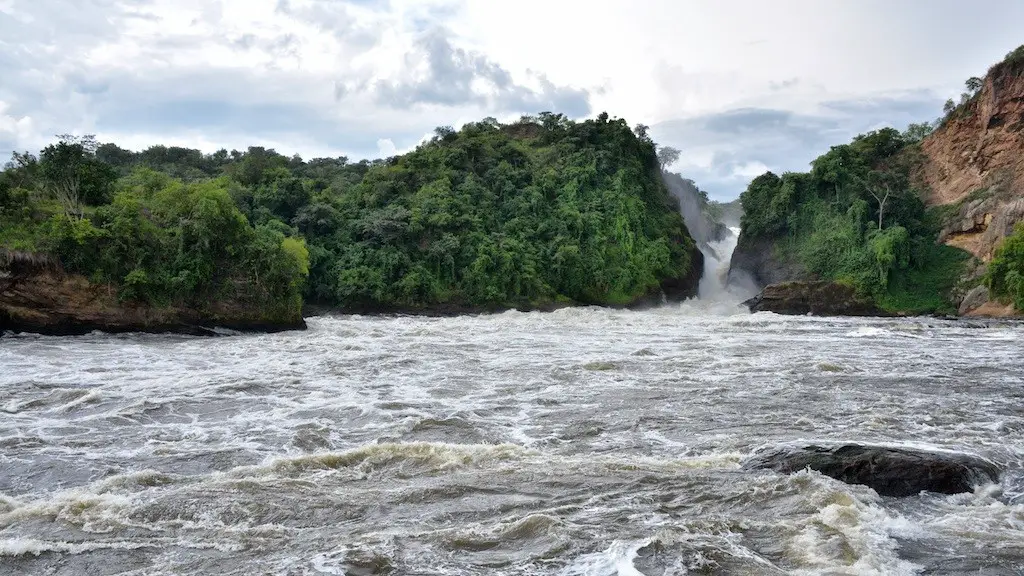 What is the climate in the amazon river?