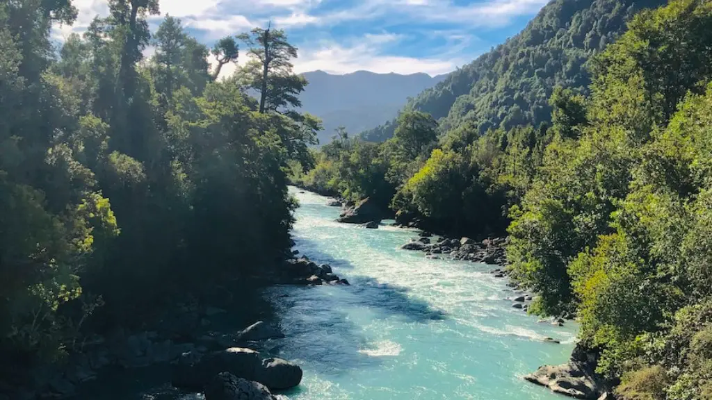 What is the stream drainage pattern of the amazon river?