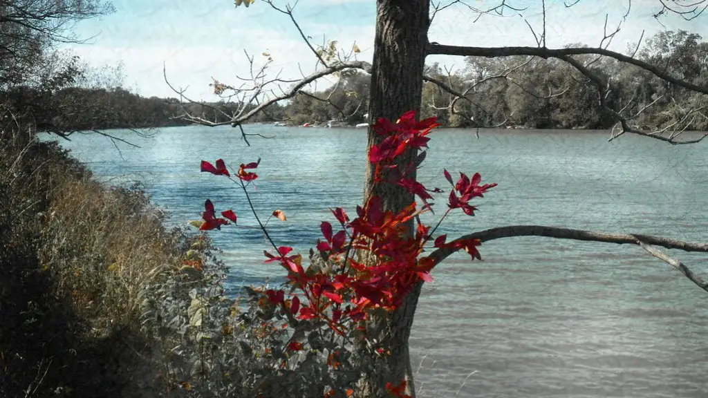 What Geographical Features Is The Mississippi River