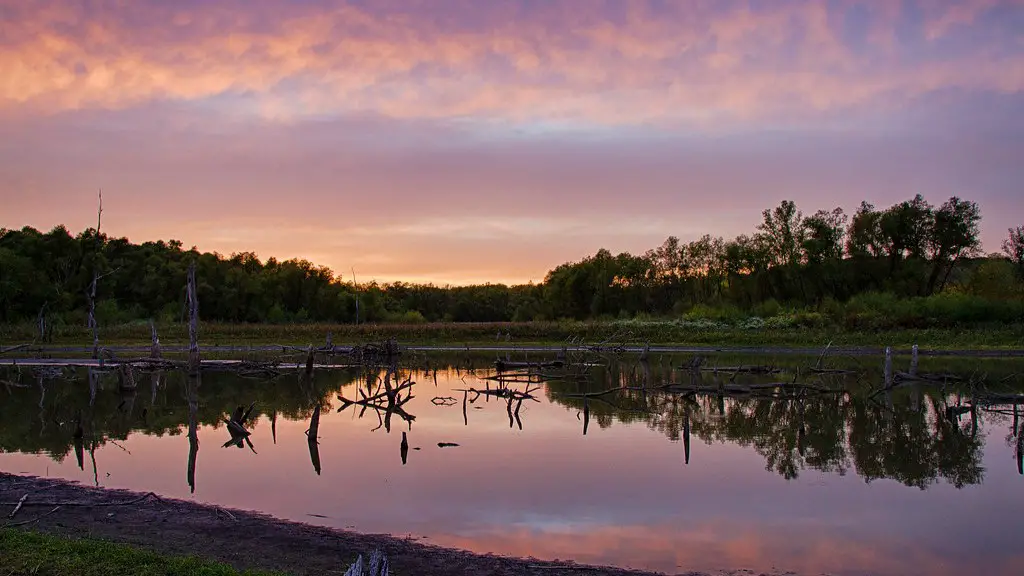 What is an interesting fact about the amazon river?