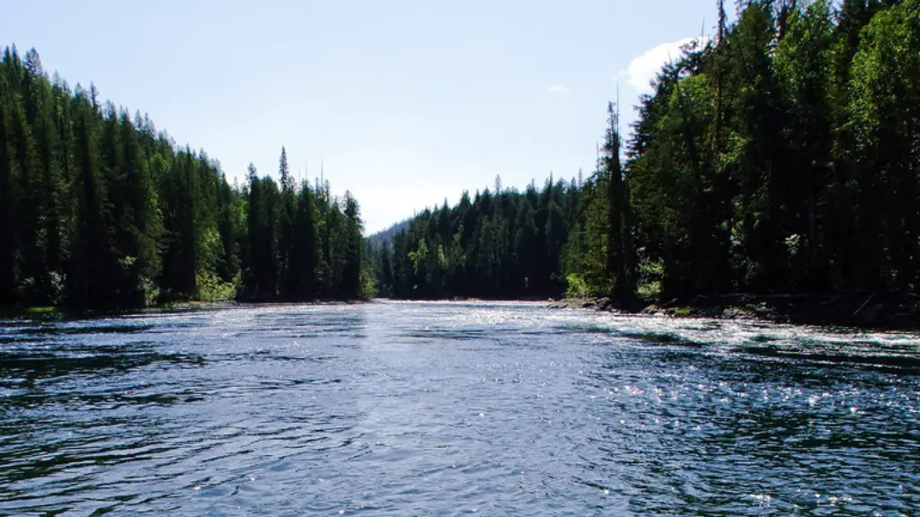 Are Oil Spills Common In The Mississippi River