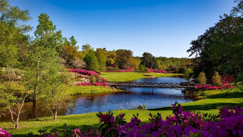 How Long Is The Mississippi River In Louisiana