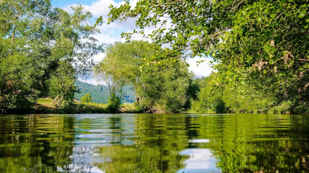 What is the congo river famous for?