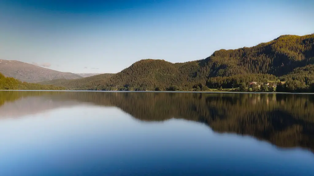 What is the widest point of the amazon river?