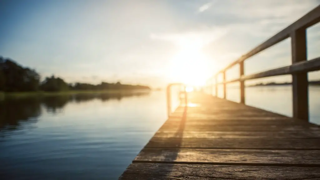 Does the amazon river have crocodiles?