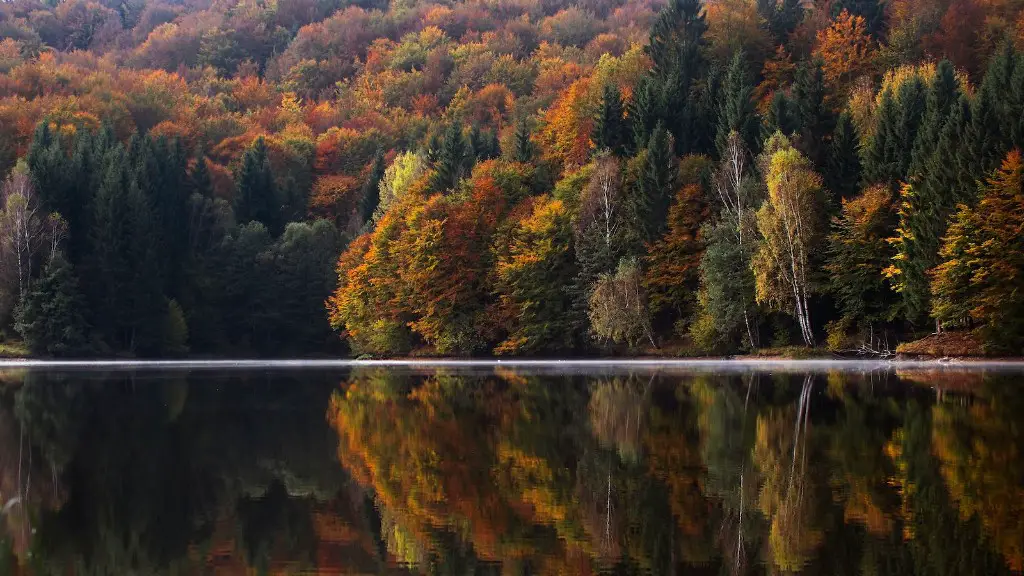 Can you swim at yellow river park?