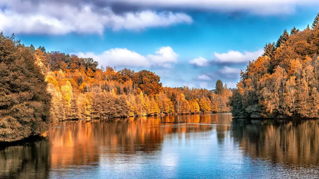 Why is the amazon river water brown?