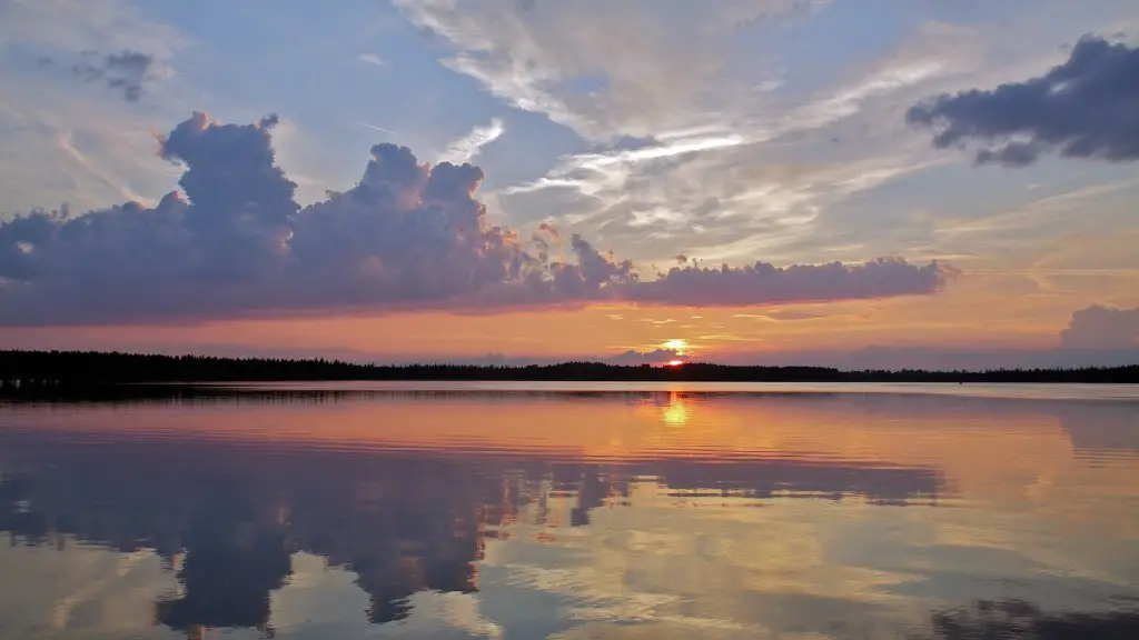 What is in the amazon river?