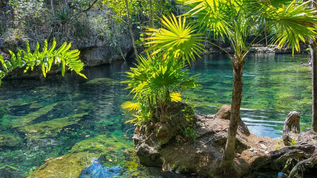 Does the amazon river have unnavigable rapids?