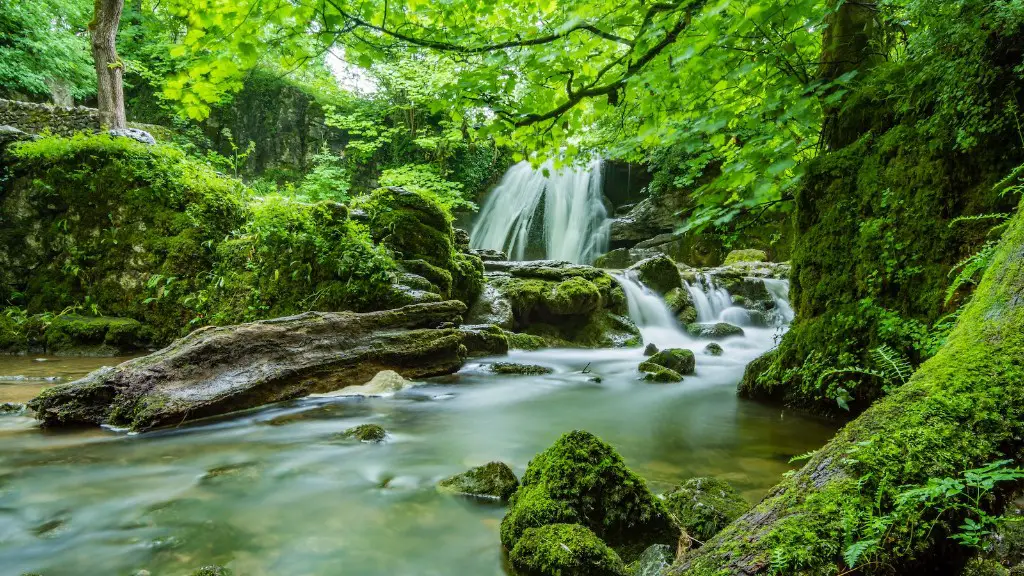 Can you drink water from the amazon river?