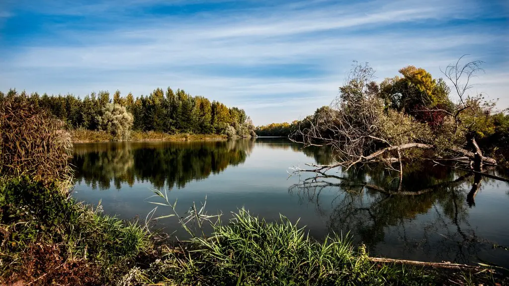 How does deforestation affect the amazon river?