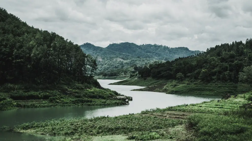 Do people swim in the amazon river?