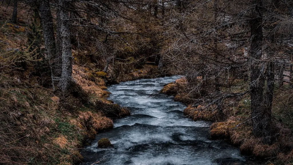 Who Was The First European To Discover The Mississippi River