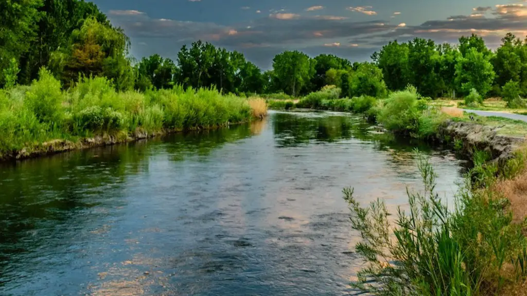 How long is the yellow river in georgia?