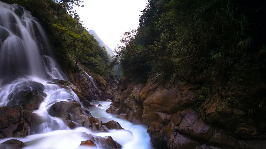 Did the amazon river flow backwards?