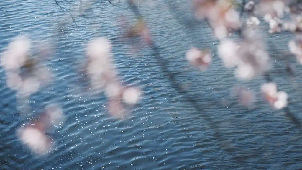 Does The Tennessee River Connect To The Mississippi River