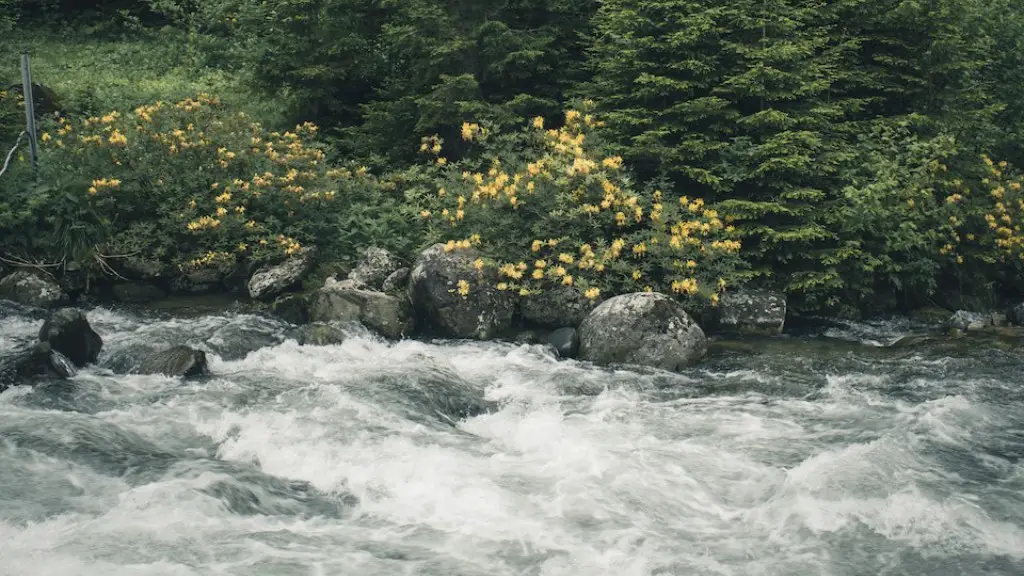 What Feeds Mississippi River