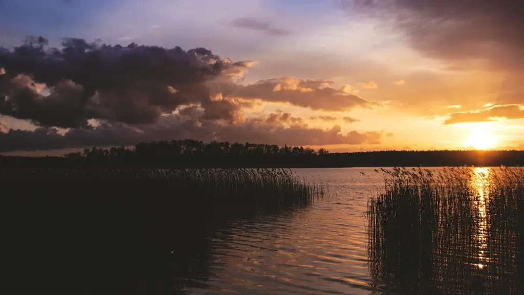 Does the amazon river run through argentina?