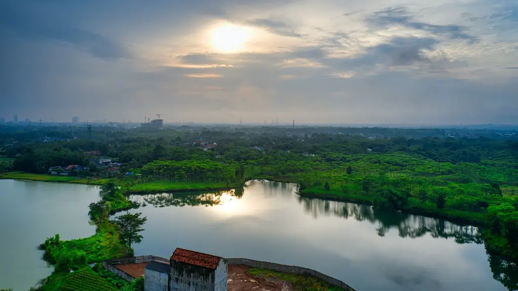 How wide is the widest part of the amazon river?