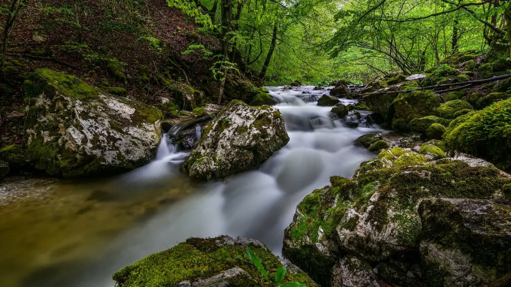 Did the amazon river flow backwards?