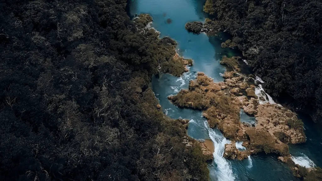 What are the countries the amazon river flows through?