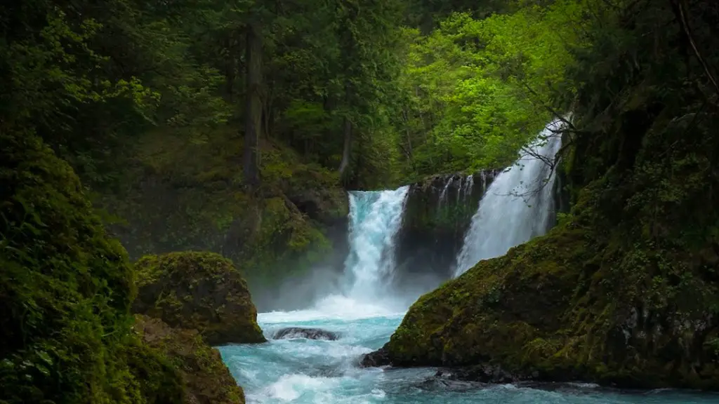 How much water flows through the amazon river?