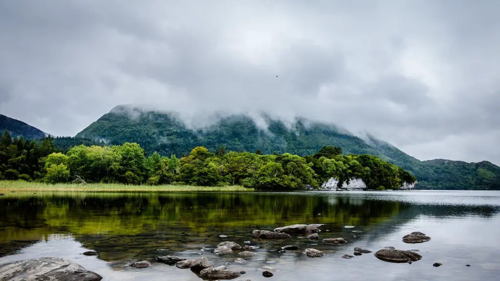 What country has most of the amazon river?