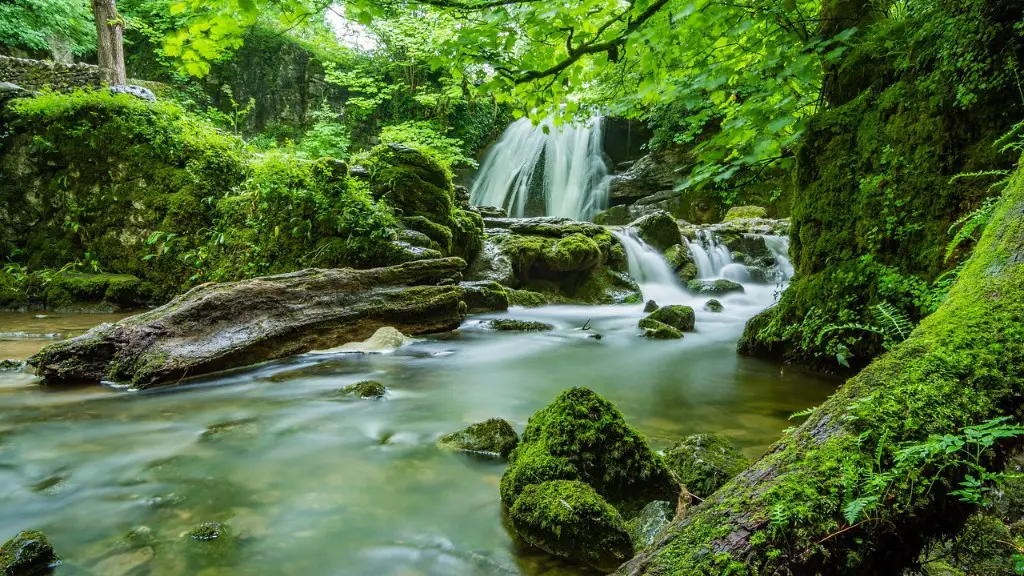 How many tributaries flow into the amazon river?