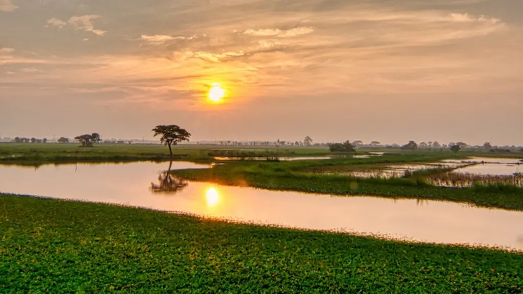 Why is ganges river polluted?