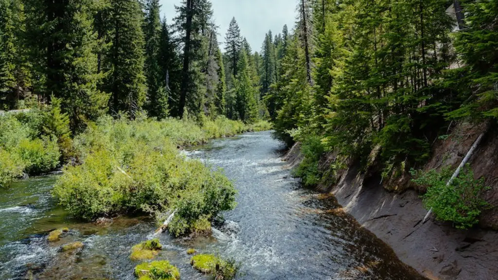 How Much Pollution Is In The Mississippi River