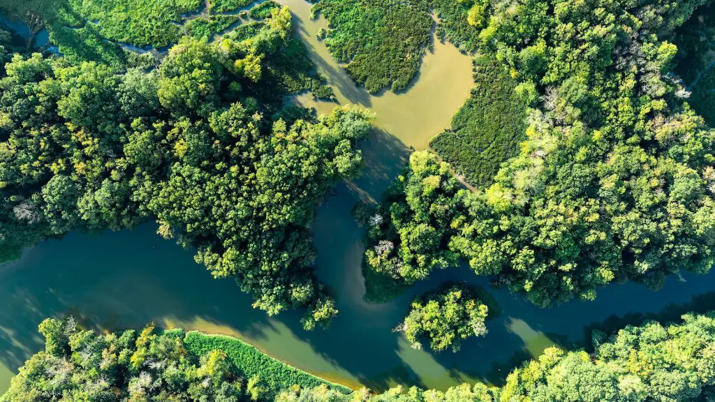 What Has Happened To The Mississippi River