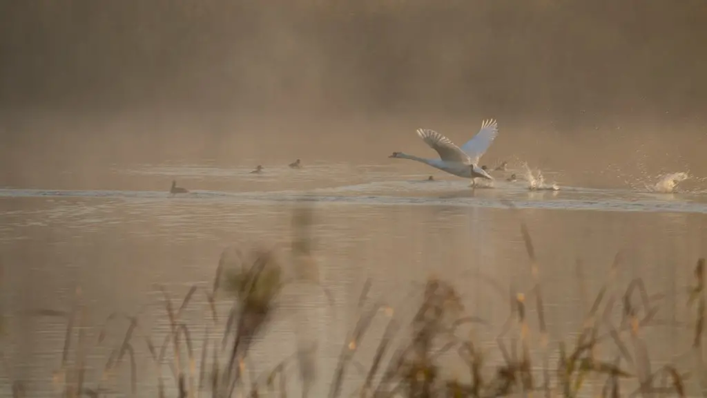 How has the congo river changed over time?