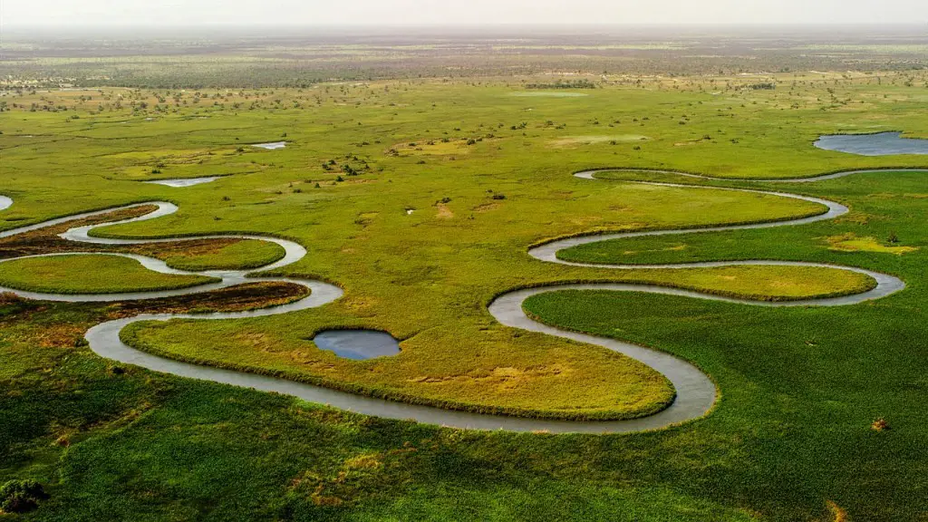 What Kind Of Animals Live In The Mississippi River