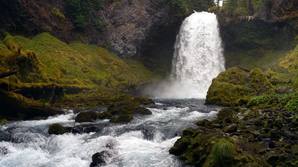 What are two impressive facts about the amazon river?