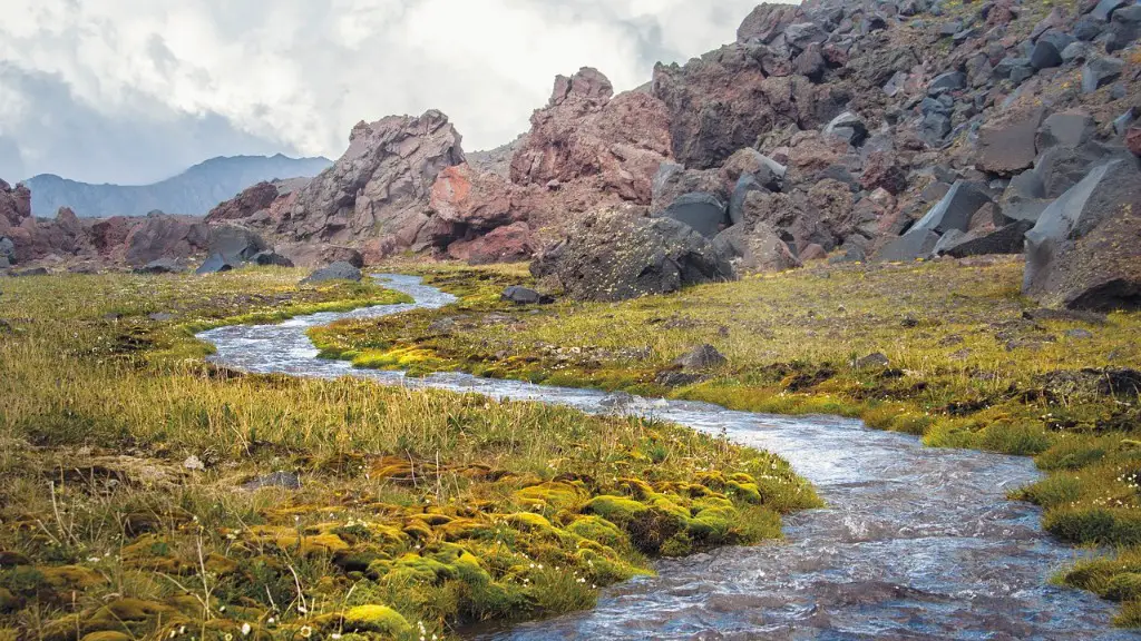 Does the amazon river run through argentina?