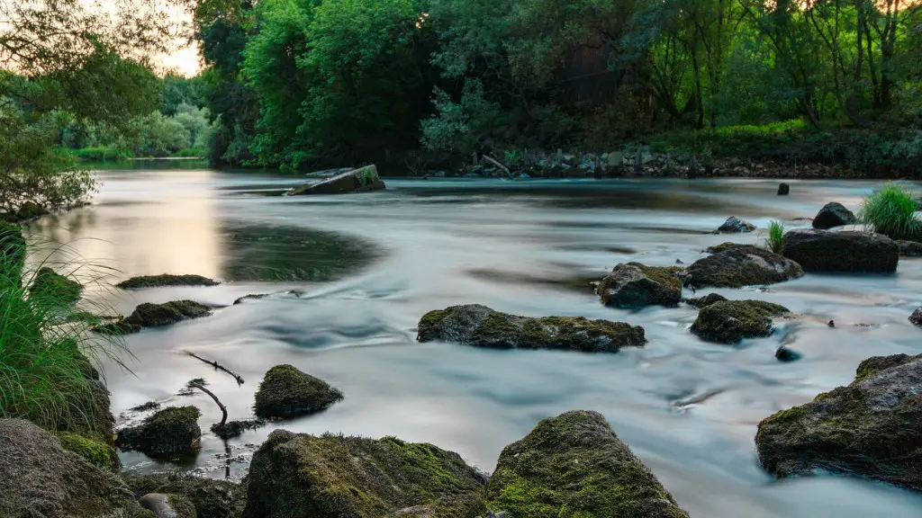 What are the functions of amazon river ecosystem?