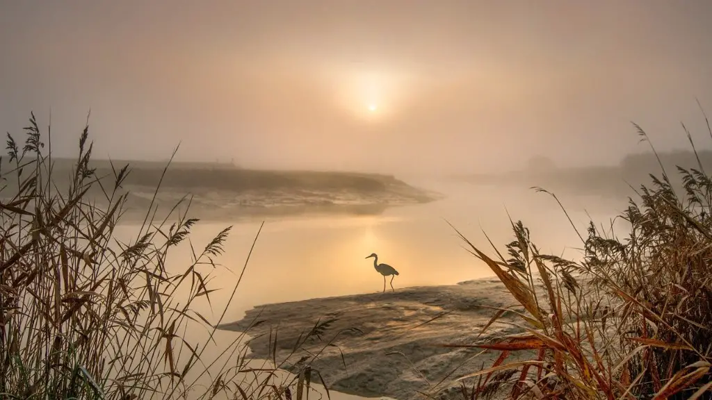 What Has Been Found In The Mississippi River