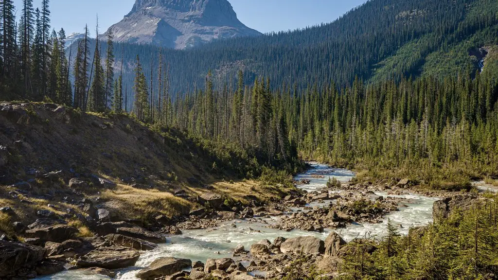 What Natural Disaster Causes Mississippi River To Flow Backwards