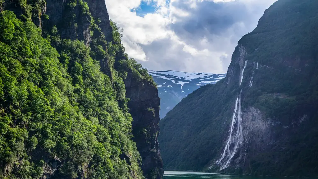 What Lives In The Yangtze River