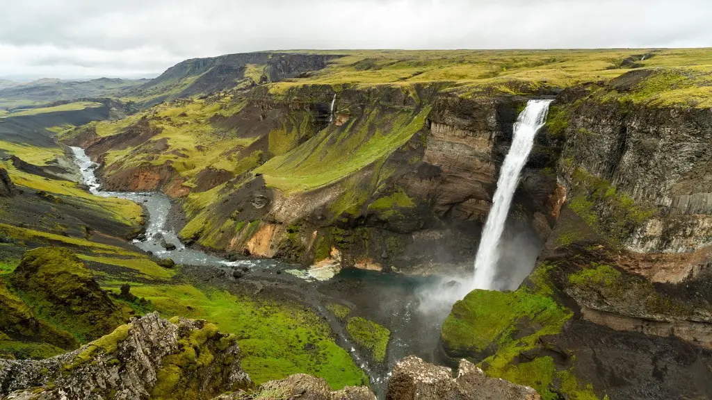 What is the tributaries of the amazon river?