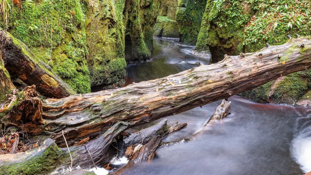 How cold is the amazon river?