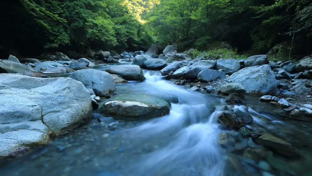 How do people use the amazon river?