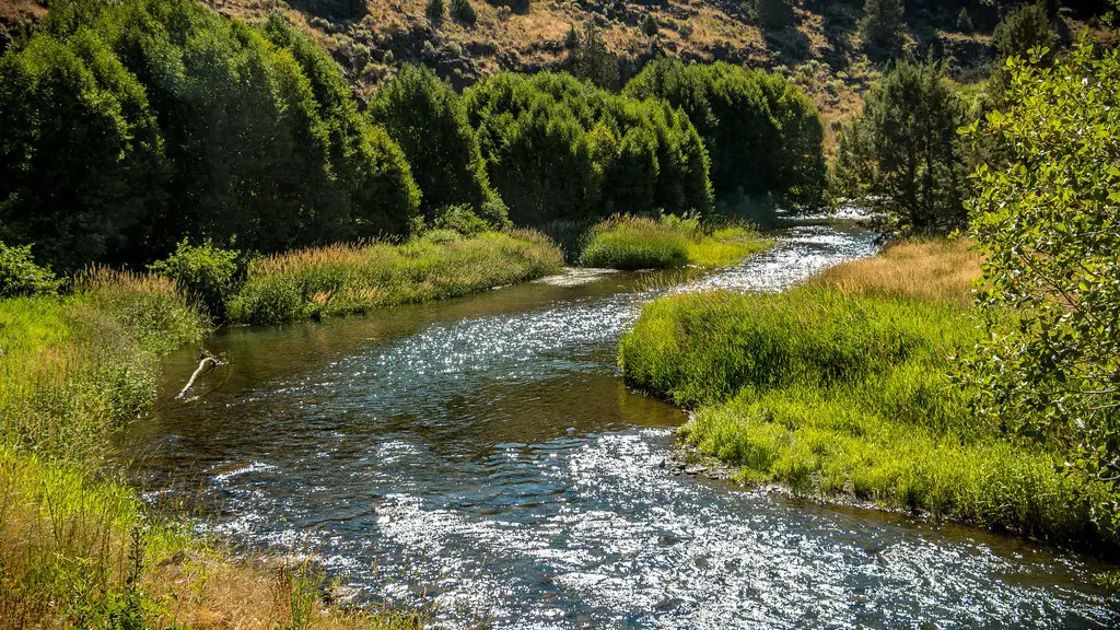 How Many Deaths Occur In The Mississippi River Each Year