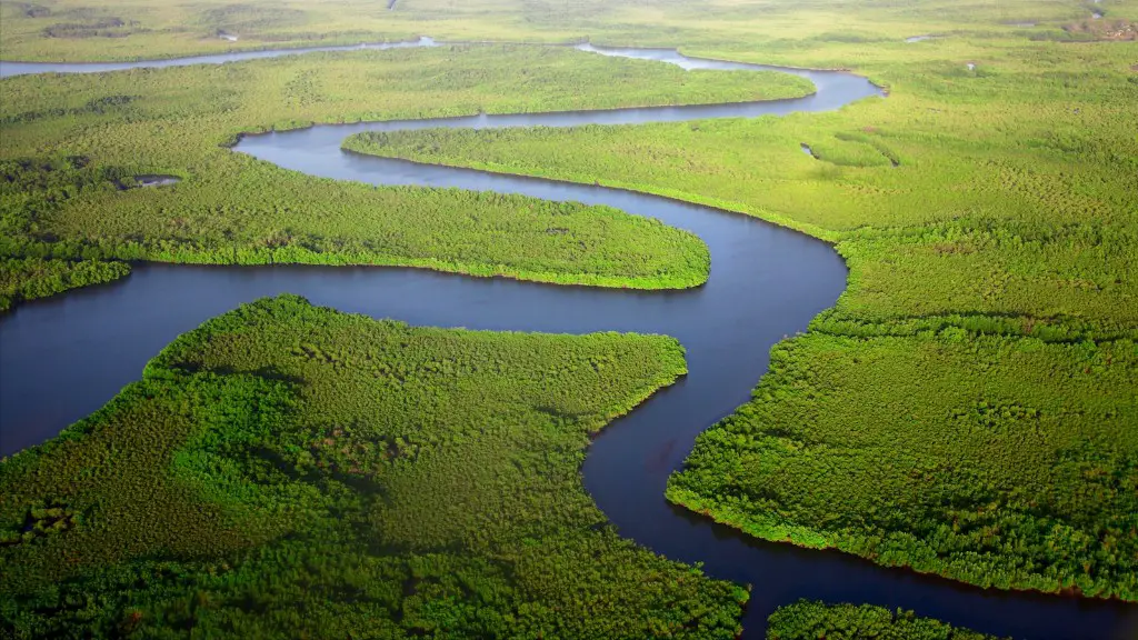 Are There Sturgeon In The Mississippi River