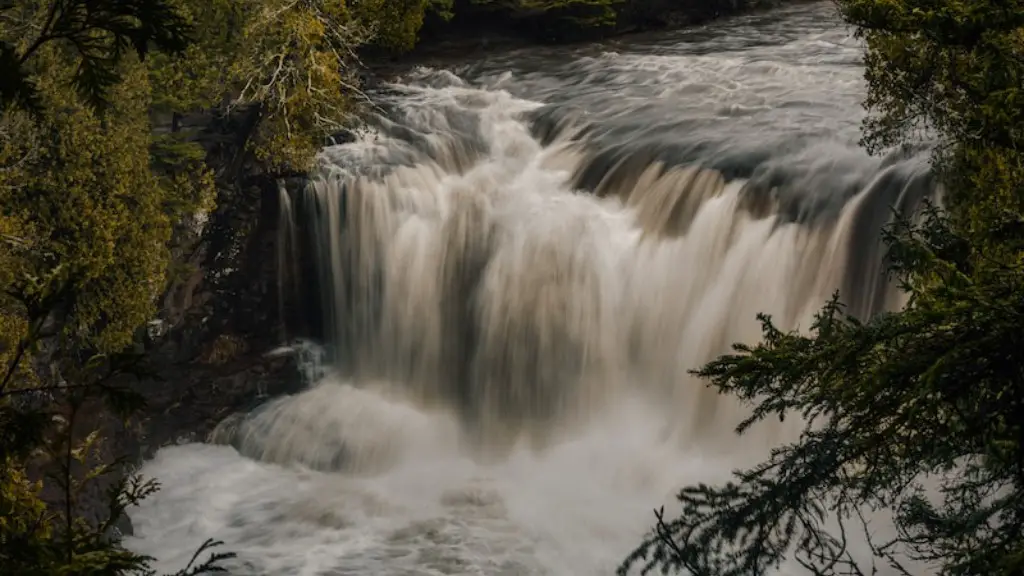 What can kill you in the amazon river?