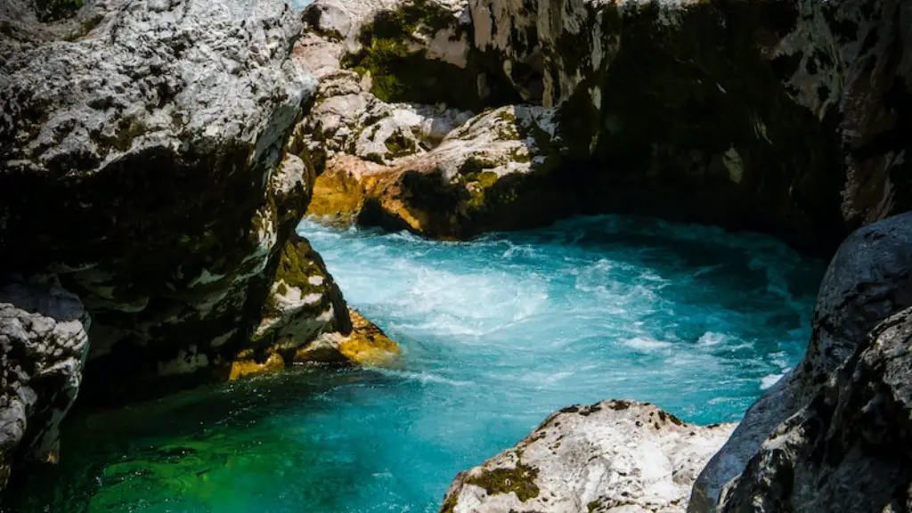How does hurricanes affect habitat disruption in the amazon river?
