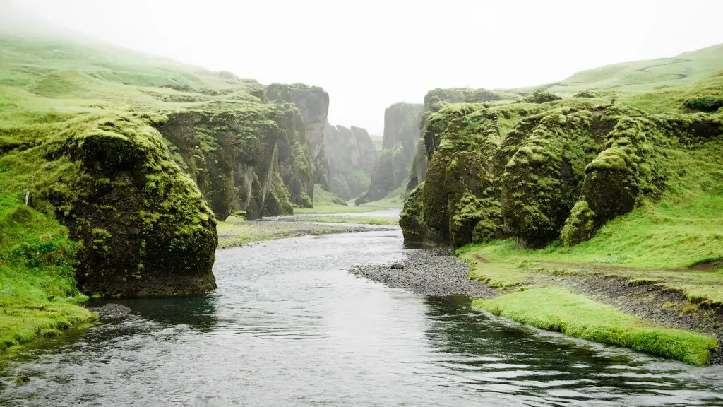 Who found the amazon river first?